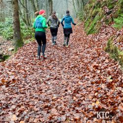 2022-11-20 Frauenlauftreff Schwanberg - 7DF633B4-B1FA-42D2-A7F5-942B6F0B5EE3 2022-11-20 Frauenlauftreff Schwanberg - 7DF633B4-B1FA-42D2-A7F5-942B6F0B5EE3